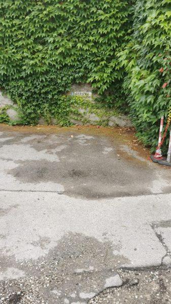 Villa Max Berchtesgaden Eksteriør billede